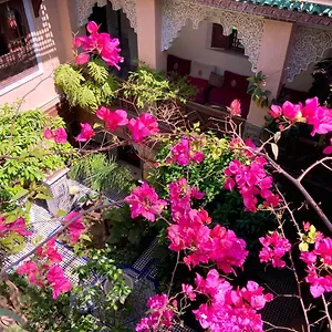 Riad Toyour- Of Birds, Fez
